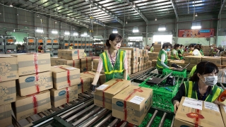 Công Ty Cổ Phần Nhân Lực IPM Việt Nam đang tuyển 6 nữ tham gia đơn hàng công việc phân phát và vận chuyên hàng hóa trong kho đi Nhật