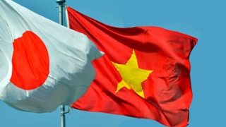 Nhật Bản dẫn đầu thị trường tiếp nhận người lao động Việt Nam trong 6 tháng đầu năm 2019